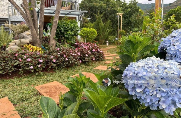 Bán nhà tại đất Lâm hà