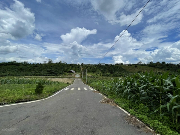 Bán đất Bảo Lâm xã Lộc An thổ cư chính chủ