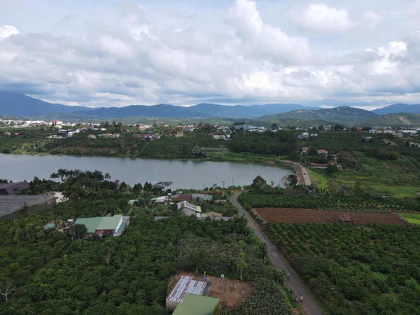 Bán đất Di Linh tại thị trấn Di Linh giá ngộp