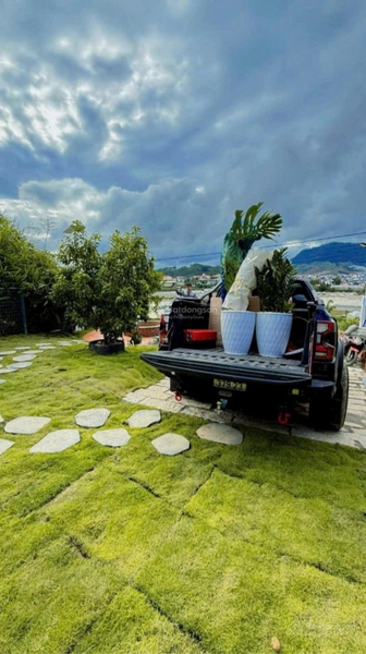 Mua bán đất Đà Lạt tại Phước Thành