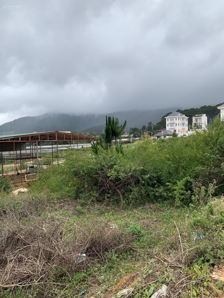 Bán đất Lạc Dương giá rẻ