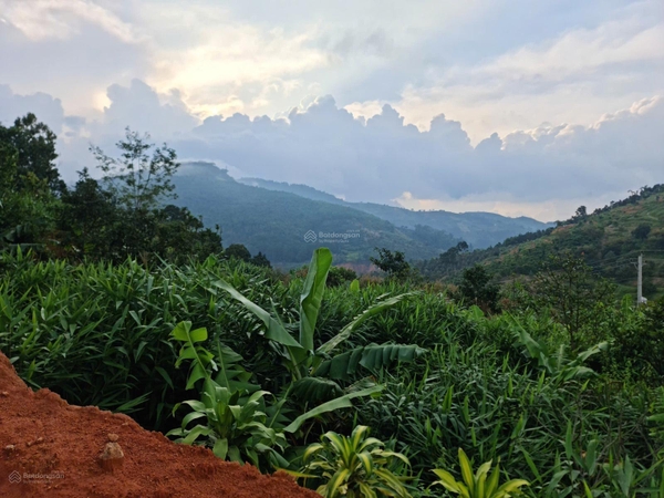 Bán đất Bảo Lâm xã Lộc Nam hơn 2000m2