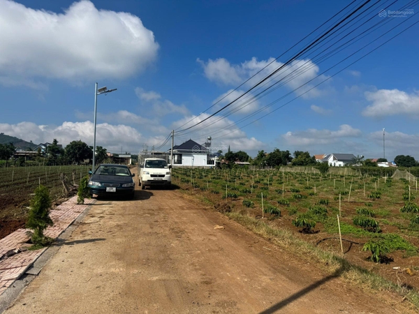 Mua bán đất Đức Trọng giá ngộp