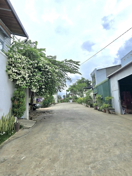 Bán đất Đức Trọng giá ngộp