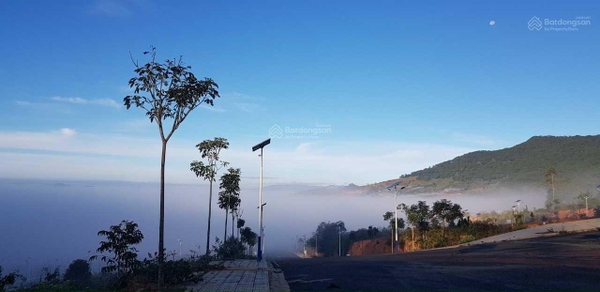 Mua bán đất Lạc Dương đường 14/3