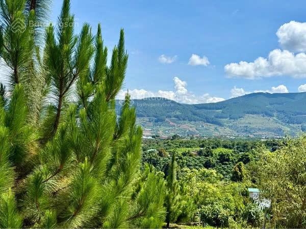 Bán đất Lâm Đồng giá rẻ tại Lâm Hà
