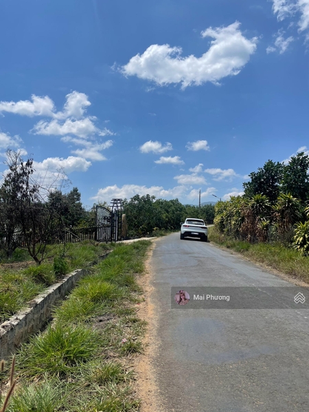 Bán đất Bảo Lâm xã Lộc Nam giá ngộp