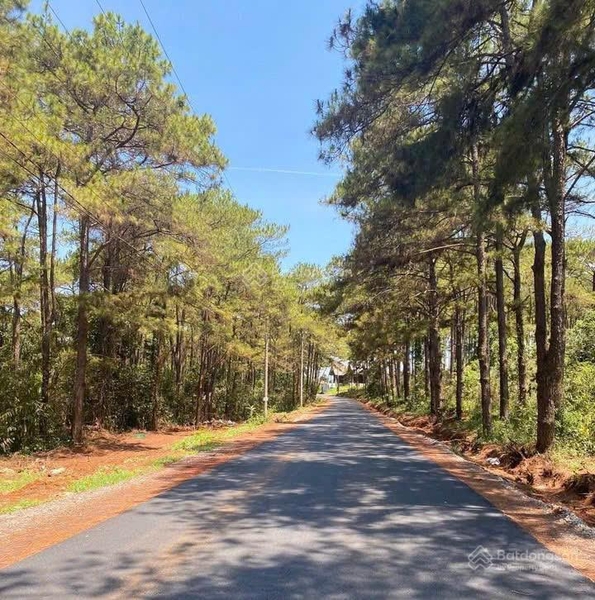 Bán đất Bảo Lộc gần hồ Ngọc