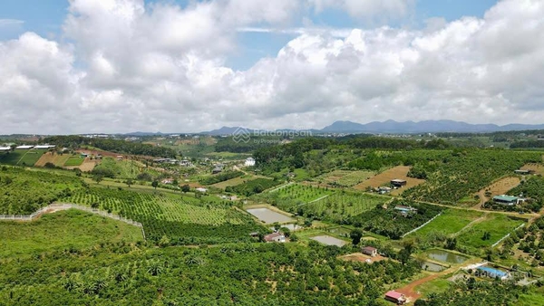 Bán đất Lâm Đồng giá tốt gần trung tâm Bảo Lộc