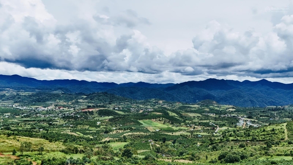 Bán đất Lâm Đồng giá tốt phù hợp kinh doanh