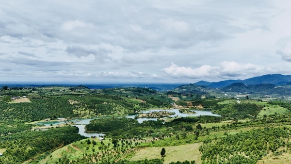 Bán đất Lâm Đồng giá tốt phù hợp kinh doanh