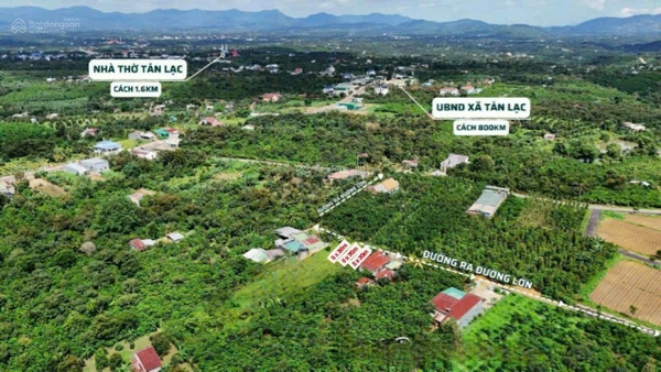 Bán đất Lâm Đồng phong thủy giá tốt
