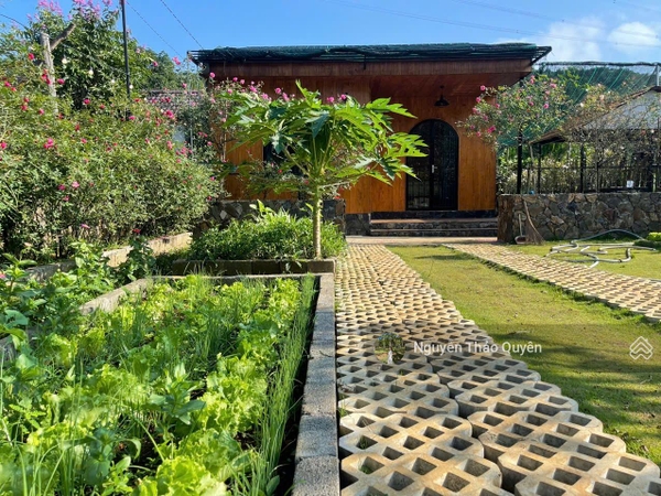 Bán đất nền Bảo Lộc tại Phan Đình Phùng giá tốt