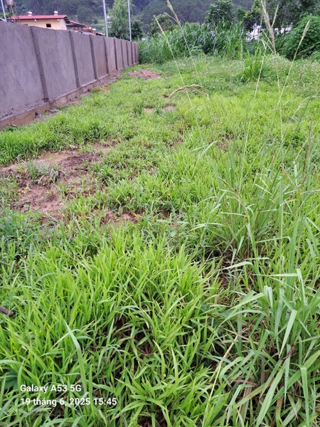 Bán Gấp Đất Đà Lạt Ngoại Thành Chỉ 2 Tỷ 150 Triệu
