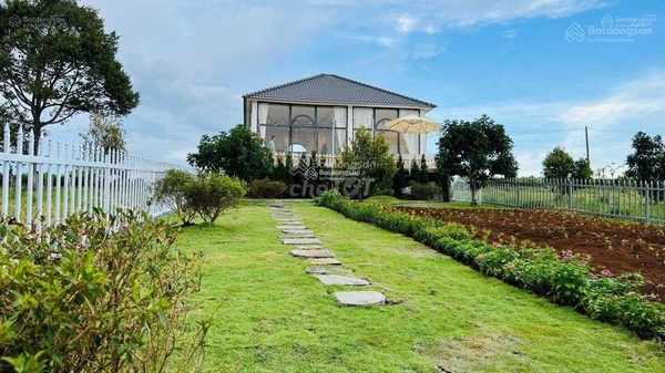 Mua Đất Bảo Lộc Phong Thủy Tốt