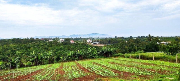 Mua Đất Bảo Lộc Phong Thủy Tốt