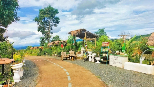 Bán ngay lô đất săn mây tại B'Lao, Bảo Lộc