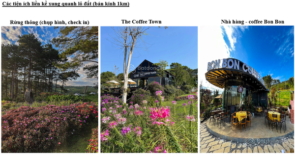 Bán đất Bảo Lâm đường số 21