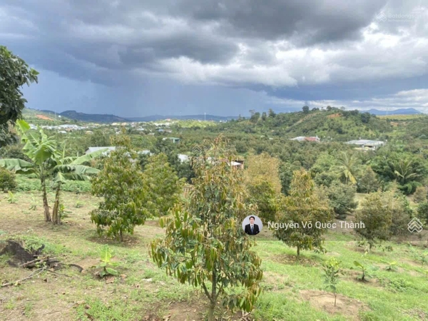 Mua bán đất vườn Đơn Dương giá ngộp