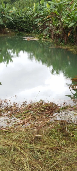 Bán đất Lâm Đồng tại Lộc Ngãi có hồ