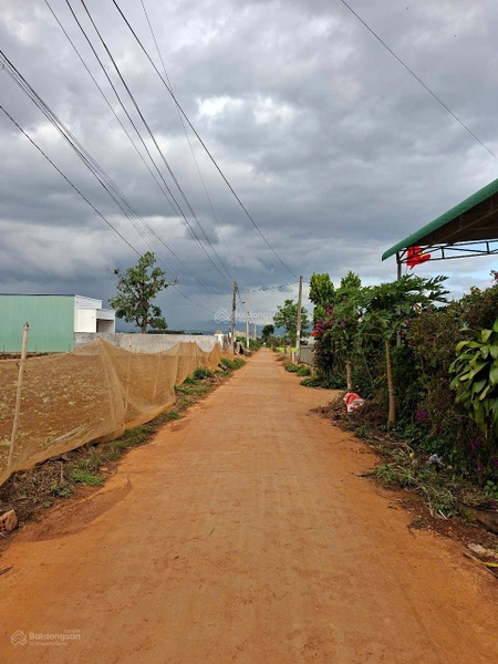 Đất Lạc Dương giá ngộp