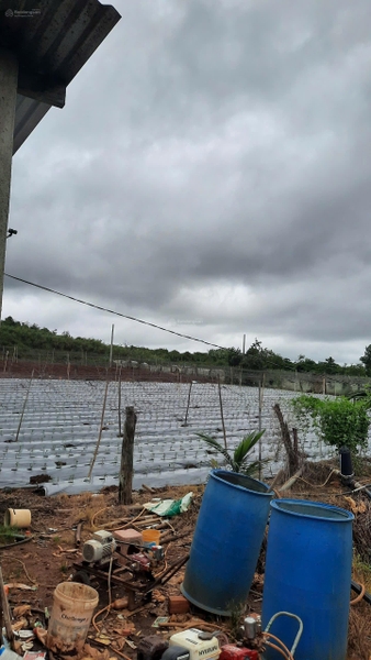Bán đất Đức Trọng gần sân bay Liên Khương