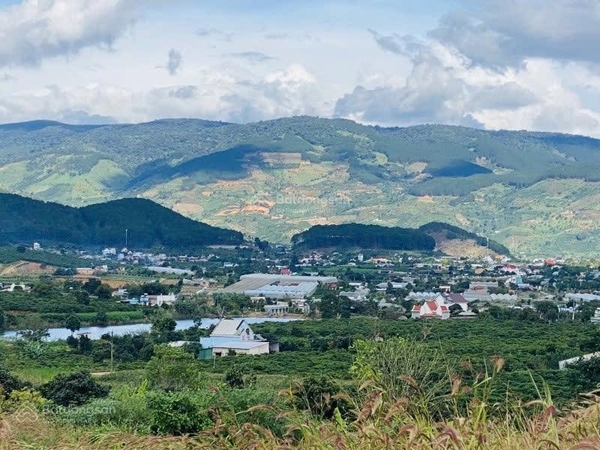 Bán đất Lâm Đồng giá rẻ tại Lâm Hà