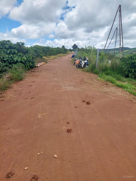 Bán đất Di Linh tại đường 28