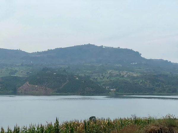 Bán đất vườn Lâm Hà tại xã Liên Hà view hồ