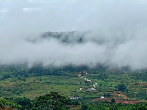 Đất Lâm Hà thị trấn Nam Ban giá ngộp