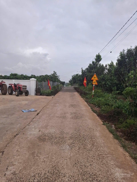 Bán đất Lâm Đồng tại Đinh Lạc