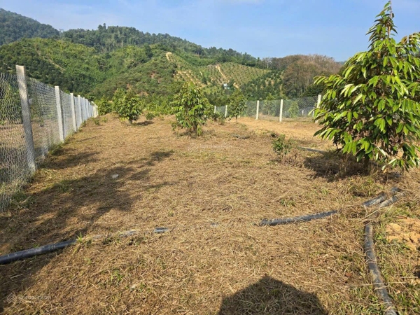 Đất Đạ Huoai xã Hà Lâm bao sổ