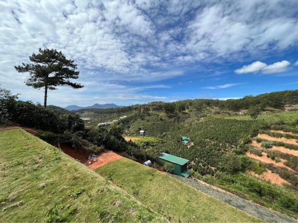 Mua bán đất Đà Lạt tại xã Xuân Trường