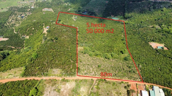 Bán đất vườn Di Linh tại Tân Lâm