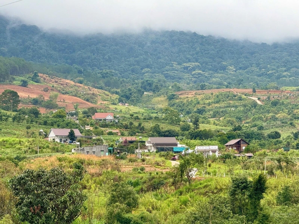 Đất Lâm Hà thị trấn Nam Ban giá ngộp