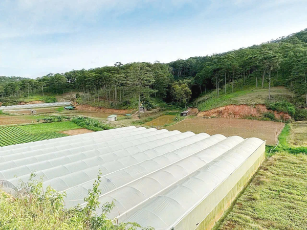 Bán đất nền Đà Lạt tại xã Đạ Nhim có vườn