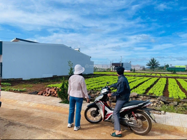 Mua bán đất Đơn Dương thị Trấn Thạnh Mỹ