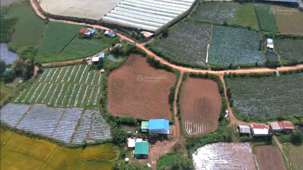 Mua bán Đông Dương xã Tu Tra giá tốt