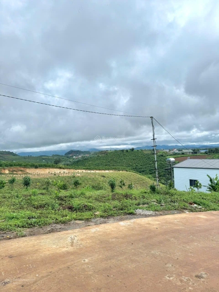 Đất Lâm hà phù hợp đầu tư