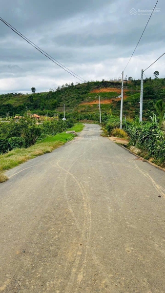 Mua bán đất Bảo Lâm tại xã Tân Lạc