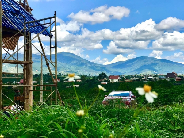 Đất nền Di Linh gần chợ Đinh Lạc