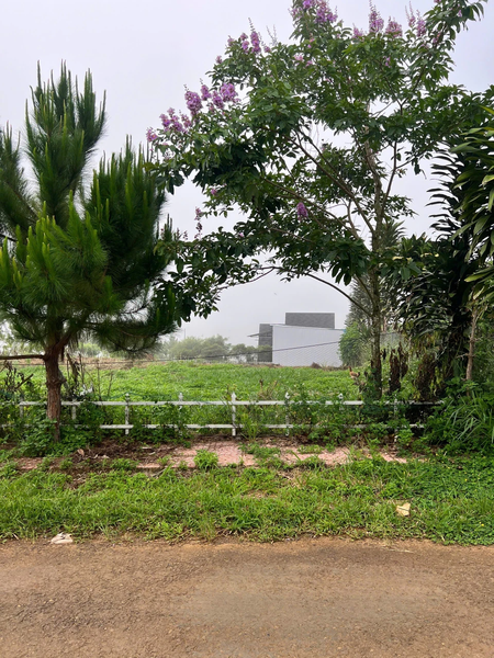 Bán đất vườn Bảo Lâm tại Lộc Quảng view hồ
