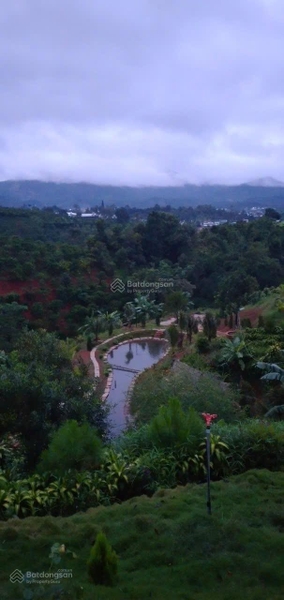 Đất Bảo Lộc tại B'Lao