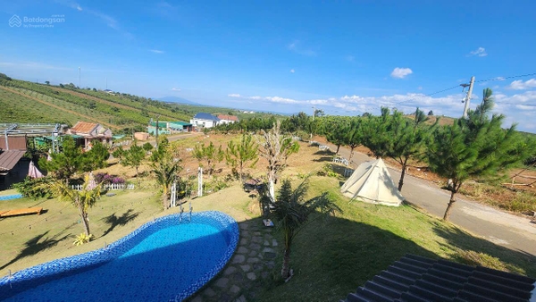 Đất Lâm Đồng - Cơ hội đầu tư