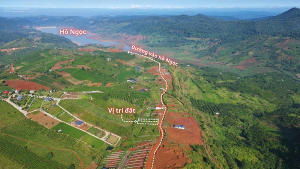 Đất Lâm Đồng gần suối thư giãn phong thủy