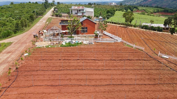 Đất Lâm Hà tại Đông Thanh