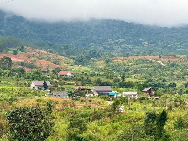 Đất Lâm Hà tại Đông Thanh