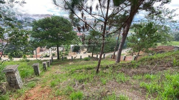 Đất nền Đà Lạt giá rẻ