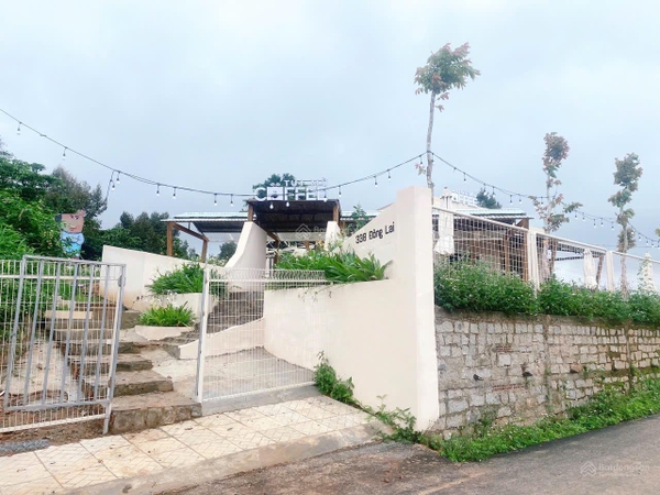 Đất thổ cư Lâm view hồ sổ riêng từng nền