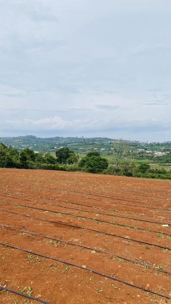 mua bán đất vườn Lâm Hà giá tốt